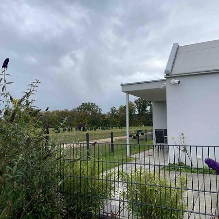 Wohnung Mit Garten Naehe Legoland 莱普海姆 外观 照片